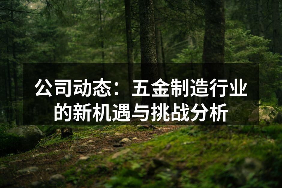 公司动态：五金制造行业的新机遇与挑战分析