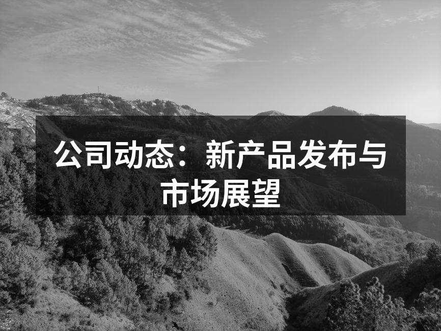 公司动态：新产品发布与市场展望